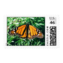 Monarch Butterfly postage stamps by photoinspiration Monarch Butterfly postage stamps