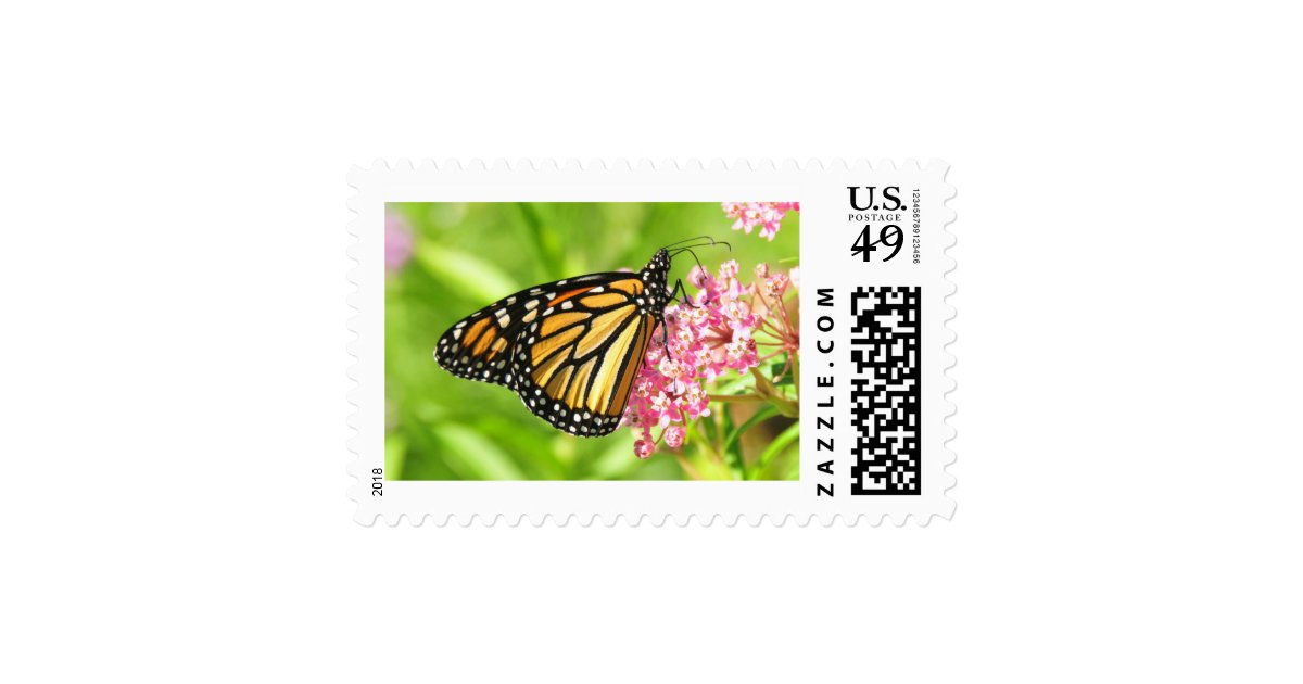 Monarch Butterfly Postage Stamps Zazzle