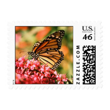 Monarch Butterfly postage stamps