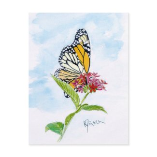 Monarch Butterfly Postcard postcard