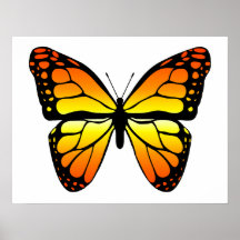 Monarch Butterfly Poster