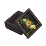 Monarch Butterfly Premium Keepsake Box