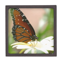 Monarch Butterfly Premium Trinket Boxes