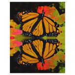 Monarch Butterfly Reflection Flyer