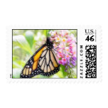 Monarch Butterfly Sipping Nectar Stamp