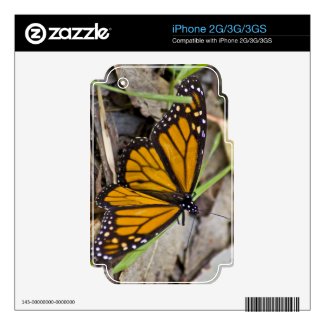 Monarch Butterfly Skin For The Iphone 3
