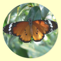 Monarch Butterfly stickers