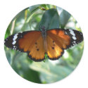 Monarch Butterfly stickers