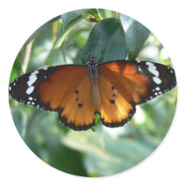 Monarch Butterfly stickers by Yarijik Monarch Butterfly stickers