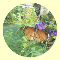 Monarch Butterfly stickers