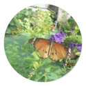 Monarch Butterfly stickers