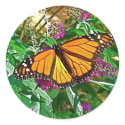 Monarch Butterfly Sticker by TrevorTrent Monarch Butterfly Sticker
