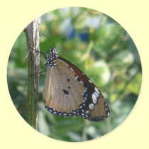 Monarch Butterfly stickers