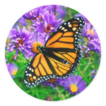 Monarch Butterfly Sticker