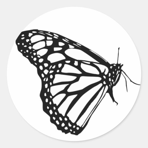 1,000+ Black And White Butterfly Stickers and Black And White Butterfly
