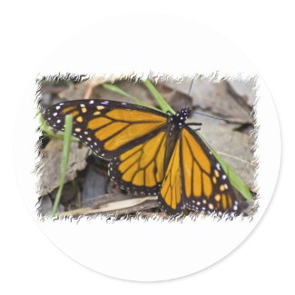 Monarch Butterfly Stickers