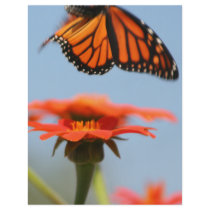 Monarch Butterfly Takes Flight flyers by LeJardin Monarch Butterfly Takes Flight flyers