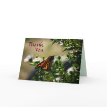 Monarch Butterfly Thank You Card