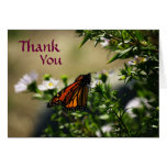 Monarch Butterfly Thank You Card