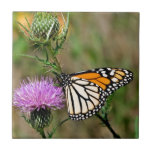 Monarch Butterfly Tile