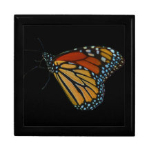 Monarch Butterfly Tile or Gift Box