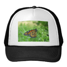 Monarch butterfly trucker hat