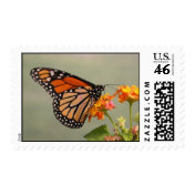 Monarch Butterfly US Postage Stamps