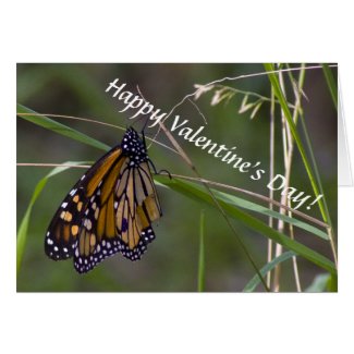 Monarch Butterfly Valentine's Card