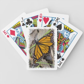 Monarch Butterfly White Edge Card Deck