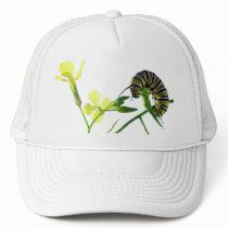 Monarch Caterpillar Hat