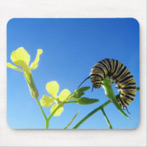 Monarch Caterpillar mousepads