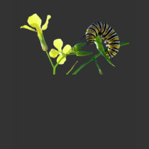 Monarch Caterpillar Shirt by dduhaime55 Monarch Caterpillar Shirt