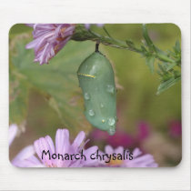 Monarch chrysalis mousepads