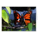 Monarch Fairy cards
