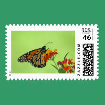 Monarch in Green stamps