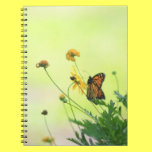 Monarch In the Spring Notebook notebooks