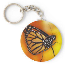 Monarch Key Ring Key Chains