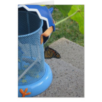 Monarch Lessons cards