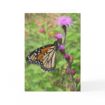 Monarch/Liatris Cards