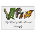 MONARCH LIFE CYCLE cards