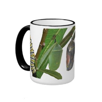 MONARCH LIFE CYCLE mug