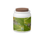 Monarch Making Candy Jars
