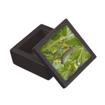 Monarch Making Premium Jewelry Box