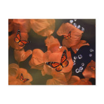 Monarch Moments postcards by Clearcutcrafts Monarch Moments postcards