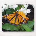 Monarch Mousepad