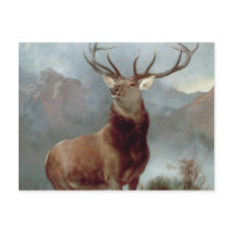 Monarch of the Glen, 1851 Postcard