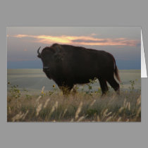 Monarch of the Plains cards