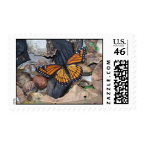 Monarch on a Bananna Stamp