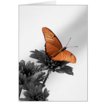 Monarch on a Daisy cards by roimim Monarch on a Daisy cards