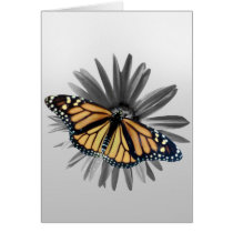 Monarch on a Daisy cards by roimim Monarch on a Daisy cards